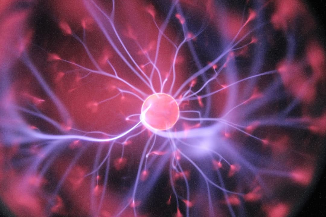 New Research Links Gut Health to Mental Wellness